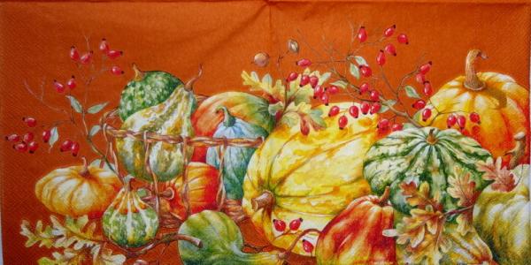 018 Kürbis - 3-lagig (braun) - Ihr